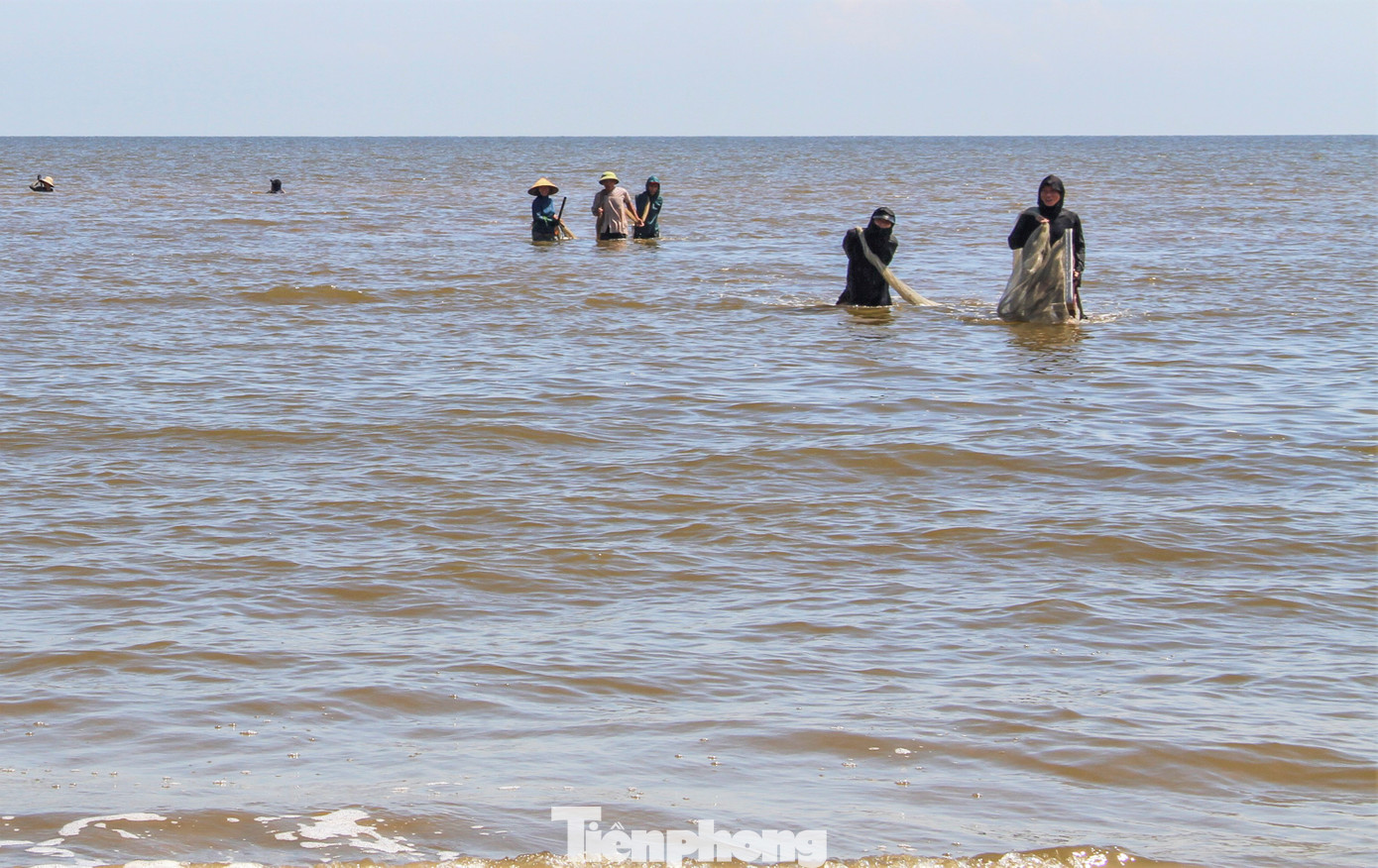 "Thấy nhiều người đi vớt ốc ruốc nên vợ chồng tôi cũng tranh thủ đi cùng. Nước biển khá lạnh nên chỉ cào được khoảng 30-40kg mang lên bán", ông Hùng (60 tuổi, trú xã Thạch Kim), nói. Trong hình, từng nhóm người lội ra ngoài mặt nước biển ngang bụng, cách bờ khoảng 10-50m cào bắt con ốc ruốc nằm trộn lẫn dưới lớp cát.
