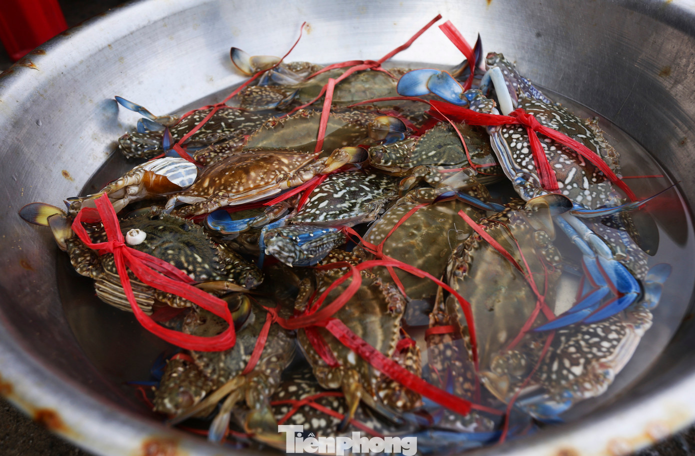 Lãnh đạo Ban Quản lý các Cảng cá Hà Tĩnh cho biết, tất cả các tàu thuyền vào tránh trú mưa bão đều đã xuất bến. Đội tàu đánh bắt ở vùng gần bờ (đi biển 1 - 2 ngày/chuyến) sau khi ra khơi đã mang hàng chục tấn ghẹ, cá, tôm, ốc vào bờ bán cho thương lái.