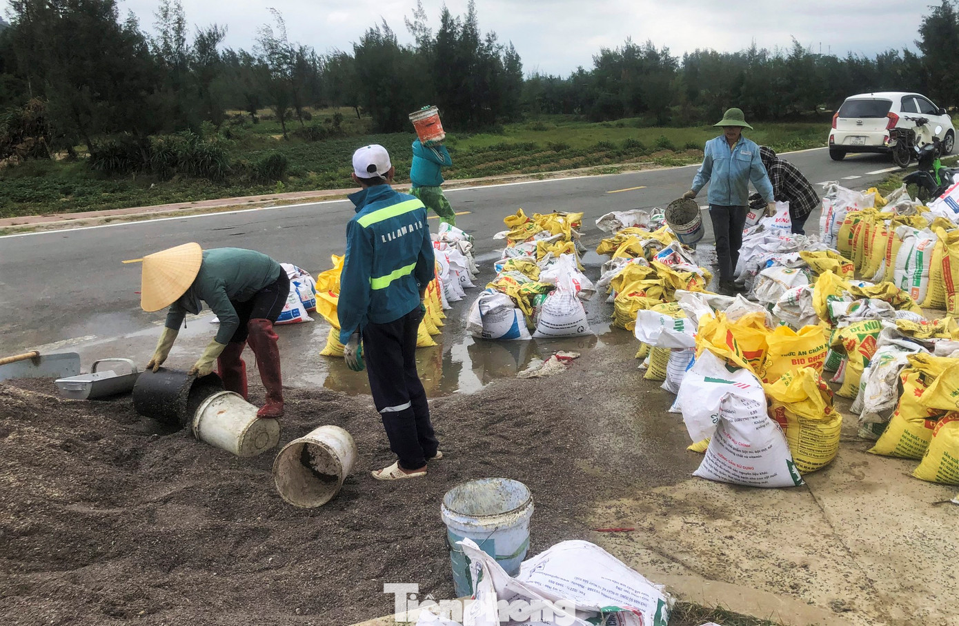 Lãnh đạo UBND xã Thịnh Lộc (huyện Lộc Hà) cho biết, sau ảnh hưởng mưa lũ vừa qua, ốc ruốc xuất hiện dọc bờ biển của xã này rất nhiều, nhất là lúc mực nước từ cổ chân đến ngang bụng. Không chỉ có người dân ở huyện Lộc Hà mà nhiều người dân ở tận trong địa bàn tỉnh Quảng Bình cũng ra đây cào bắt ốc ruốc.