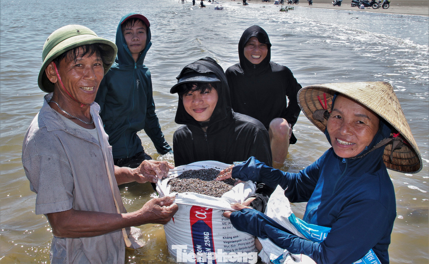 Không khí làm việc cào "lộc biển" ốc ruốc diễn ra rất khẩn trương và rộn vang tiếng cười nói cả một khu vực.