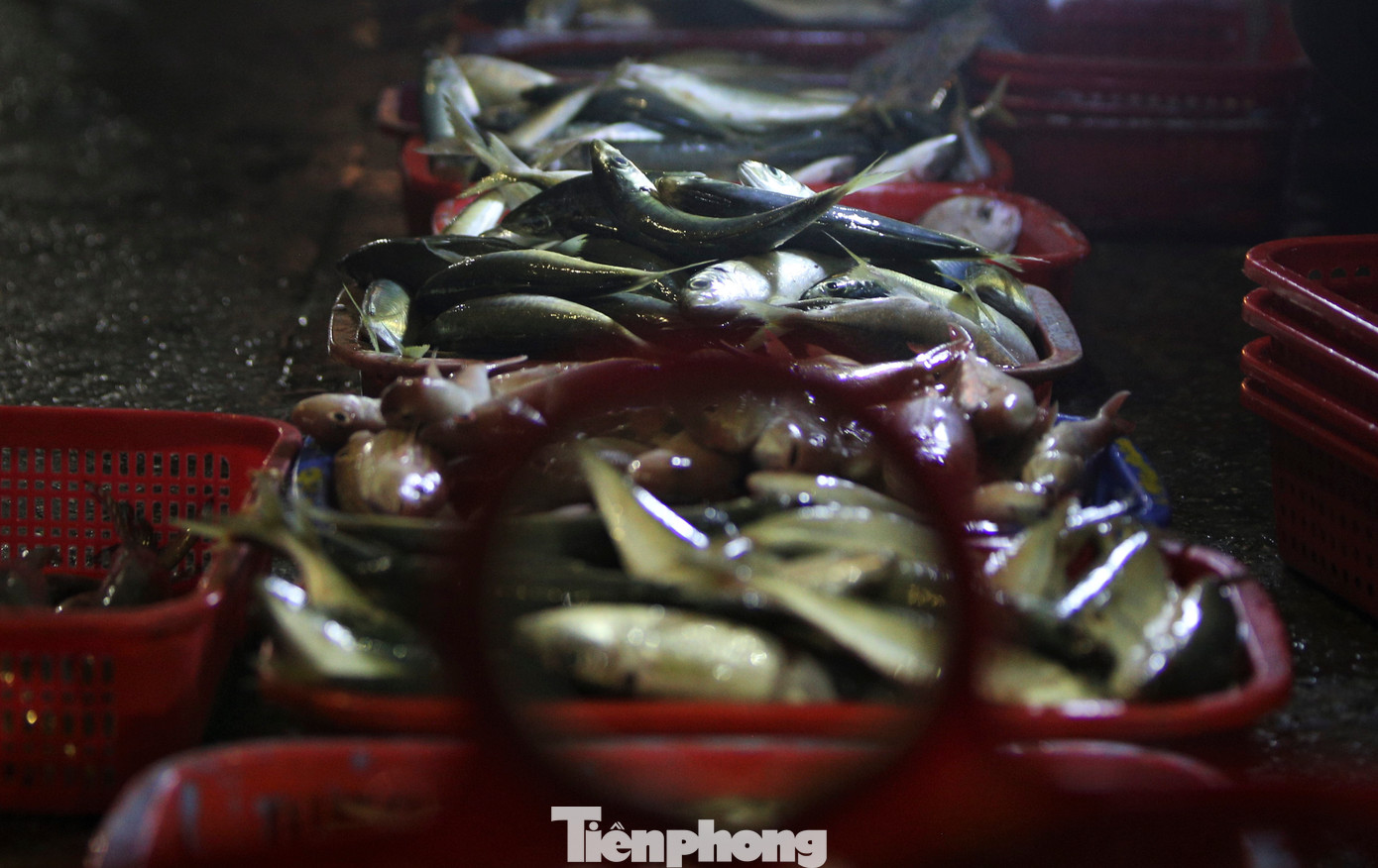 Lãnh đạo Ban Quản lý các Cảng cá Hà Tĩnh cho biết, tất cả các tàu thuyền vào tránh trú mưa bão đều đã xuất bến. Đội tàu đánh bắt ở vùng gần bờ (đi biển 1 - 2 ngày/chuyến) sau khi ra khơi đã mang hàng chục tấn ghẹ, cá, tôm, ốc vào bờ bán cho thương lái.