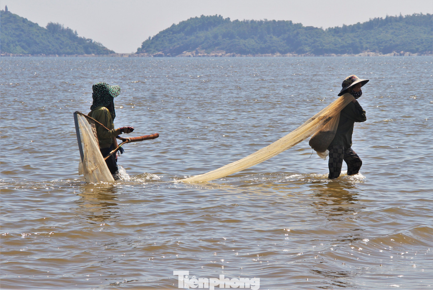 Cứ khoảng 20 phút ngâm mình dưới nước biển, họ lại mang lên bờ khoảng 10 kg ốc ruốc biển lẫn các loài nhuyễn thể.