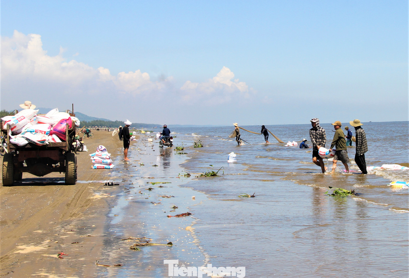 Nhiều ngày qua, hàng trăm người dân đổ xô ra bờ biển dài hơn 2 km từ xã Thịnh Lộc đến thị trấn Lộc Hà (huyện Lộc Hà, Hà Tĩnh) để cào ốc ruốc.