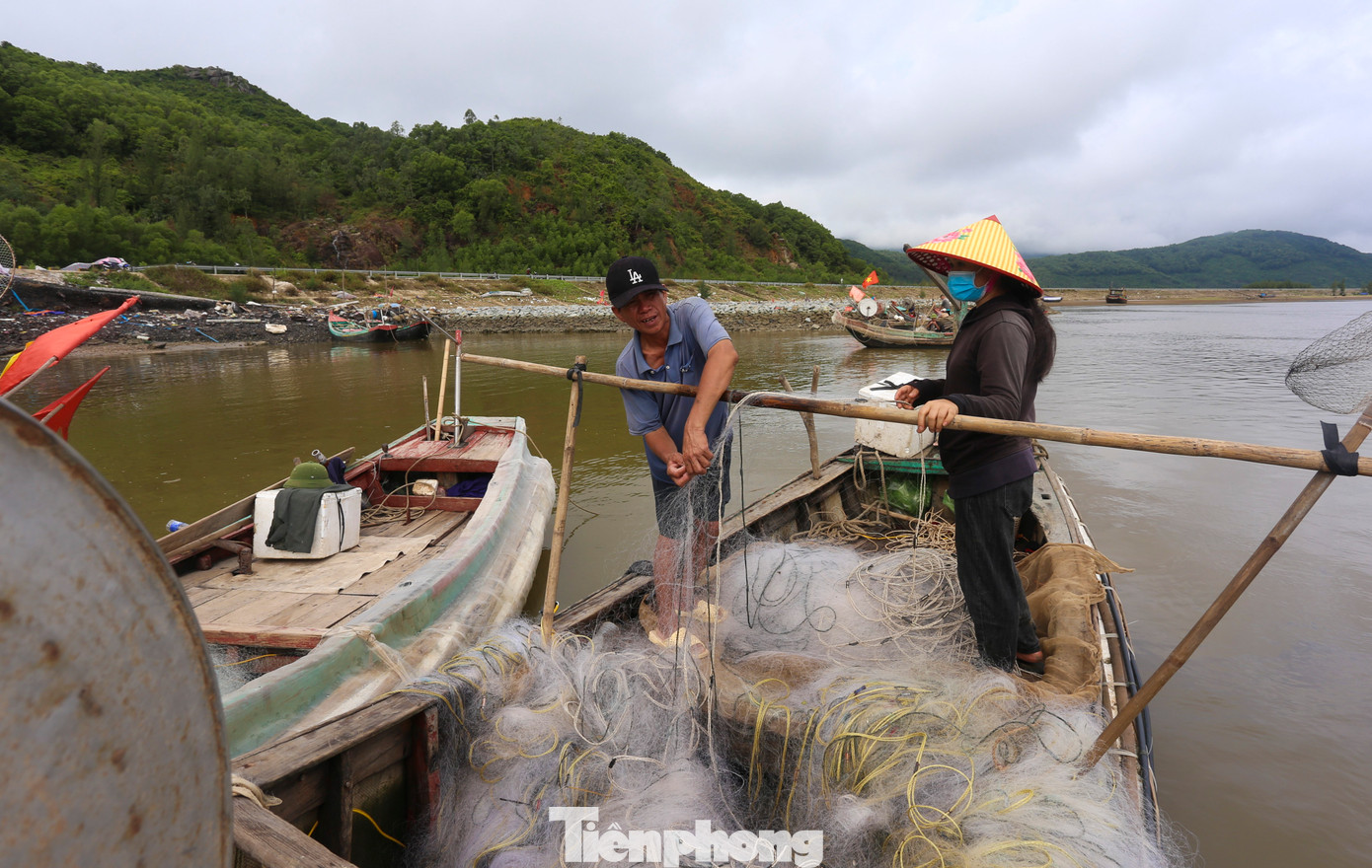 “Sau những ngày mưa lớn có nhiều phù du từ đất liền trôi ra, vùng biển gần bờ thu hút ghẹ, tôm cá vào kiếm ăn nên ngư dân đánh bắt được khá nhiều. Sau khi trừ chi phí, mỗi chuyến chúng tôi có thể thu được khoản tiền công từ 300-500.000 đồng/người”, ngư dân xã Thịnh Lộc cho hay.