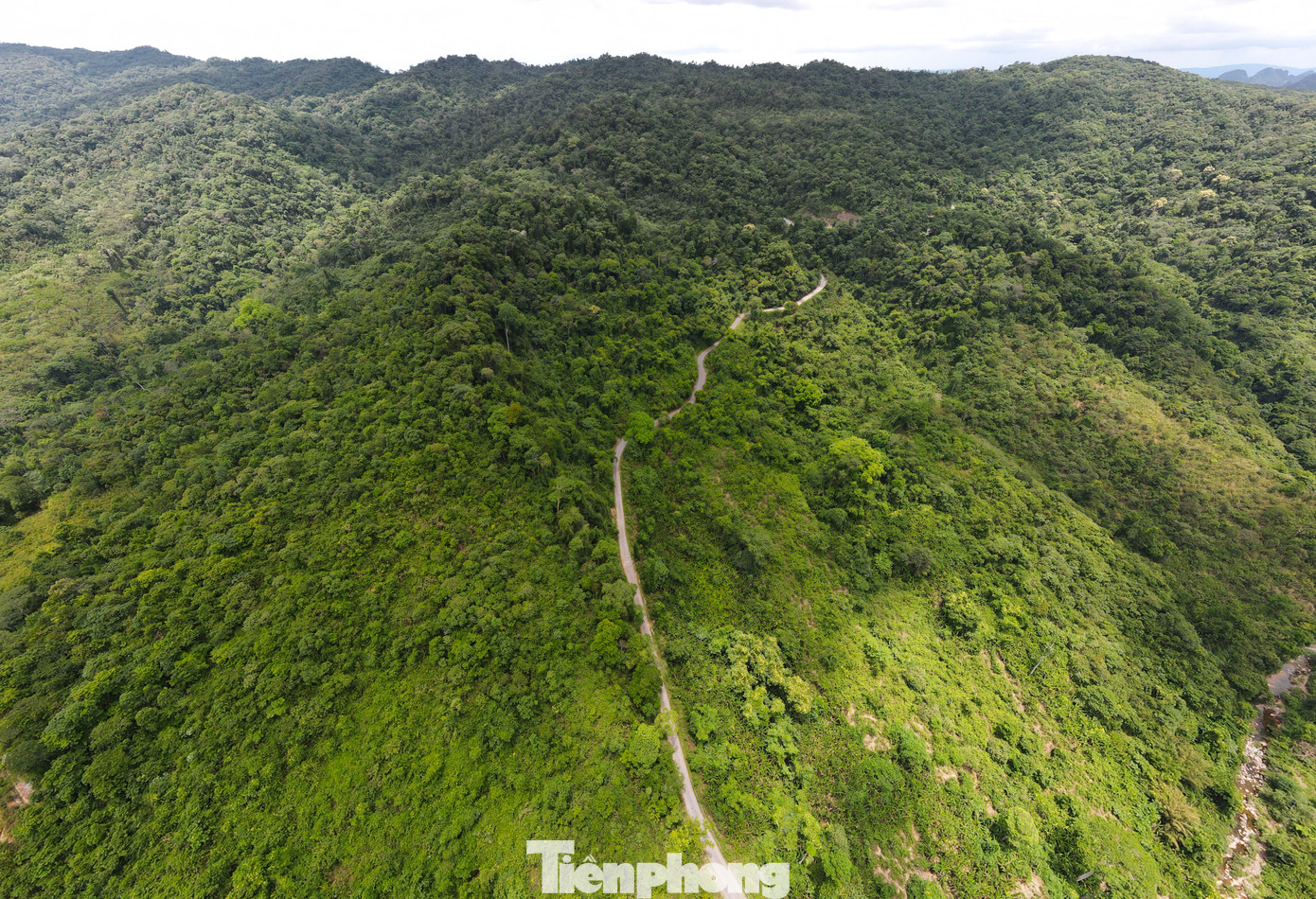 Đường 20 Quyết Thắng về khu trọng điểm Cà Roòng – ATP xuyên qua các ngọn đồi, cánh rừng.