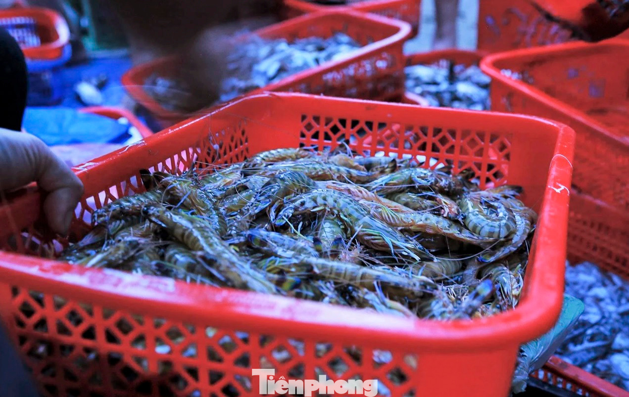 Người dân địa phương mua hải sản từ các thuyền bè của ngư dân đi đánh bắt về để mang ra các chợ huyện trong tỉnh bán kiếm lời. Để có hàng tươi ngon, họ phải đi chợ từ lúc rạng sáng để đón những đoàn thuyền đầu tiên.