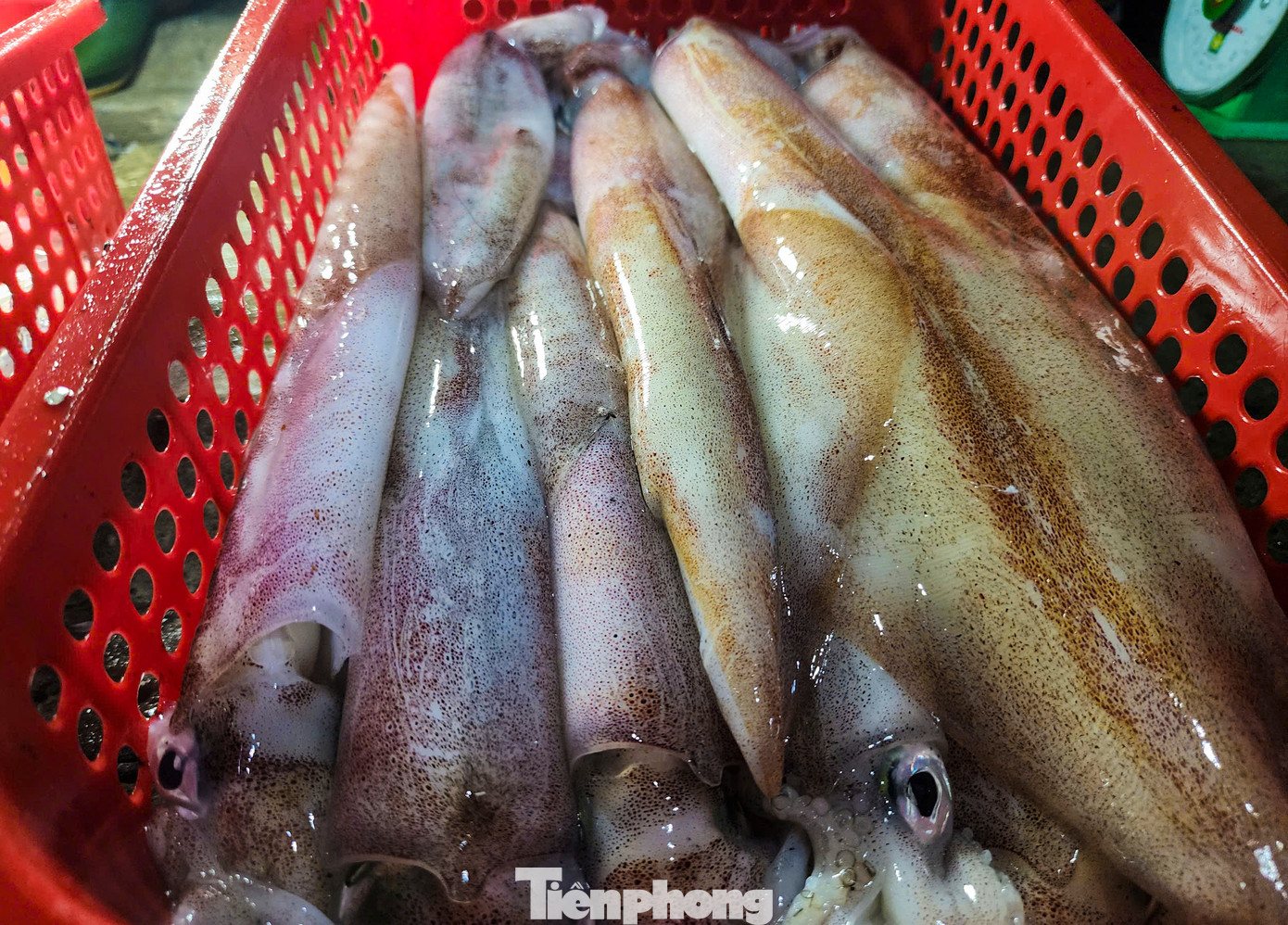 Người dân địa phương mua hải sản từ các thuyền bè của ngư dân đi đánh bắt về để mang ra các chợ huyện trong tỉnh bán kiếm lời. Để có hàng tươi ngon, họ phải đi chợ từ lúc rạng sáng để đón những đoàn thuyền đầu tiên.