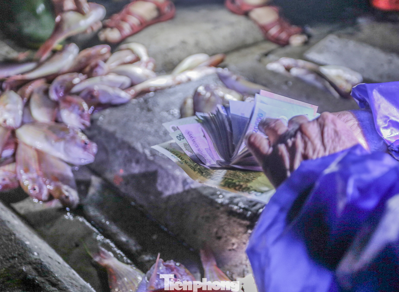 Nhiều người sau khi mua được mớ hải sản tươi ngon sẵn sàng bán qua tay ngay tại bãi biển, kiếm ít tiền lời.