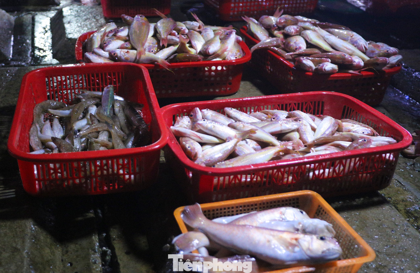 Người dân địa phương mua hải sản từ các thuyền bè của ngư dân đi đánh bắt về để mang ra các chợ huyện trong tỉnh bán kiếm lời. Để có hàng tươi ngon, họ phải đi chợ từ lúc rạng sáng để đón những đoàn thuyền đầu tiên.