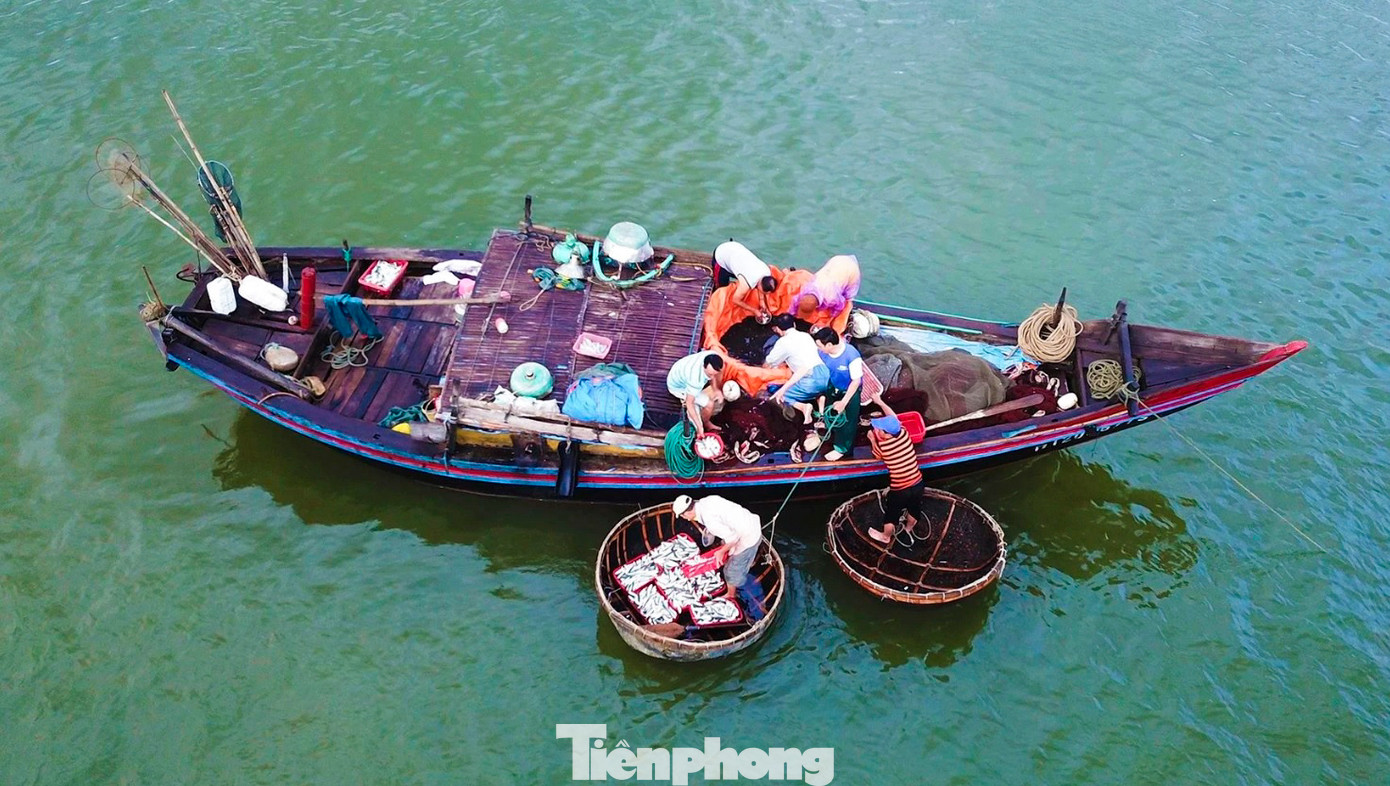 Cứ khoảng 4h sáng mỗi ngày, lúc còn chưa rõ mặt người, chợ hải sản dọc bờ biển đã kín người. Họ là những người dân làng chài, thương lái, chủ nhà hàng và cả du khách tập trung về đây để chờ những chiếc tàu ngoài khơi trở về, mang theo đủ loại hải sản biển tươi sống. Khi tàu dừng cách bờ 15-20m, hải sản được đưa vào bờ bằng thuyền thúng.