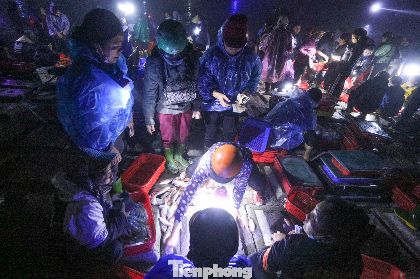Dưới ánh đèn pin, những gánh mực, cá, tôm tươi rói được đưa từ thuyền vào, người dân nói cười tranh phần mua.