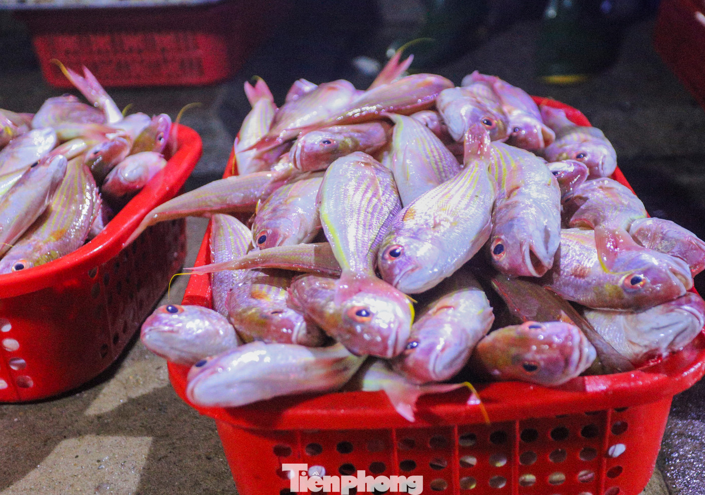 Người dân địa phương mua hải sản từ các thuyền bè của ngư dân đi đánh bắt về để mang ra các chợ huyện trong tỉnh bán kiếm lời. Để có hàng tươi ngon, họ phải đi chợ từ lúc rạng sáng để đón những đoàn thuyền đầu tiên.