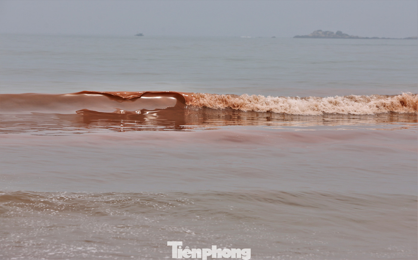 “Mỗi năm từ tháng 3 đến tháng 5 vùng biển qua địa bàn lại xuất hiện hiện tượng trên trong vài ngày. Ngành chức năng từng lấy mẫu kiểm tra, xác định nguyên nhân do một loại tảo biển gây ra”, ông Tuệ nói.