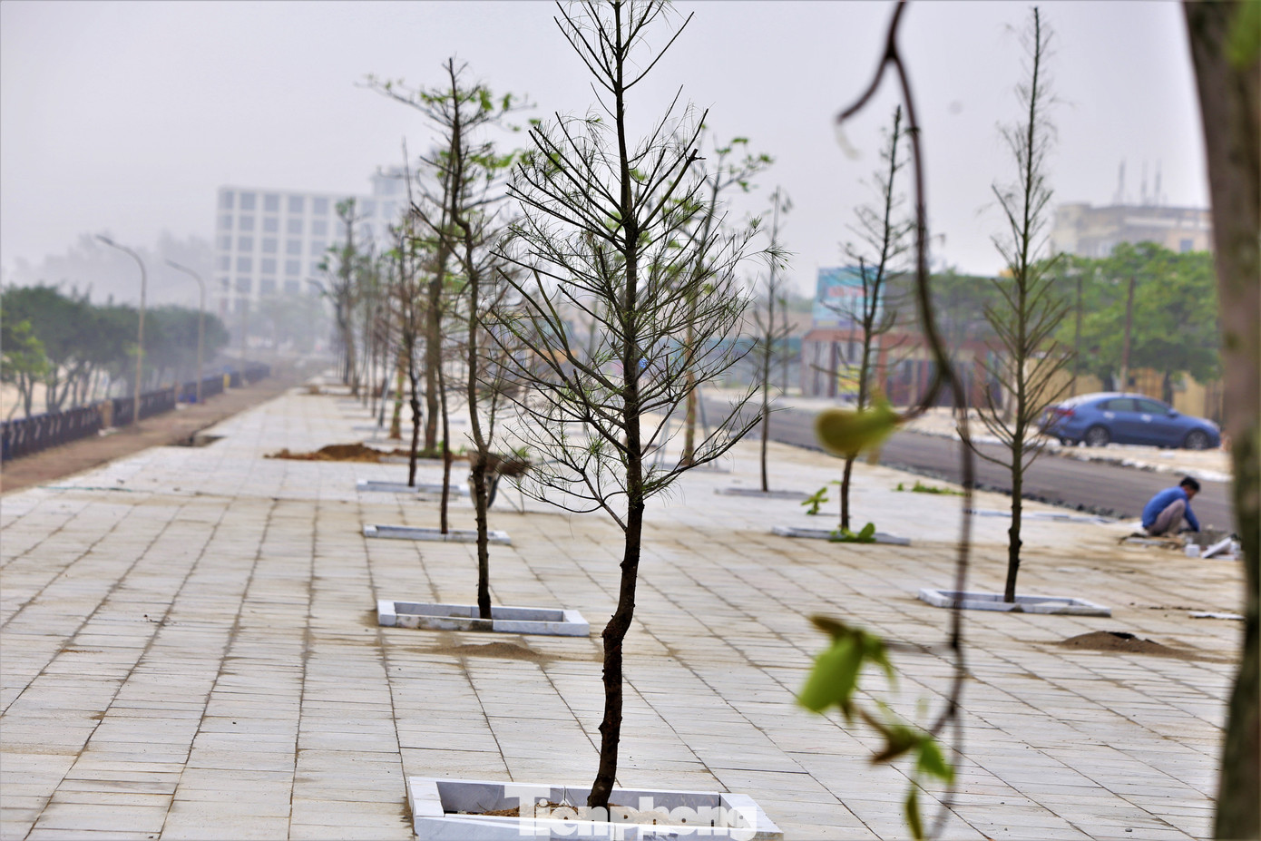 “Một số vị trí còn vướng thủ tục đấu thầu nên chưa thể triển khai thi công, đơn vị đã có ý kiến đến chính quyền địa phương, phối hợp dọn dẹp để kịp đón khách. Ngoài ra, các công trình đang thi công phải hoàn thiện, bàn giao trước 10/4 để đảm bảo cho mùa du lịch”, lãnh đạo BQL Khu du lịch Thiên Cầm thông tin.