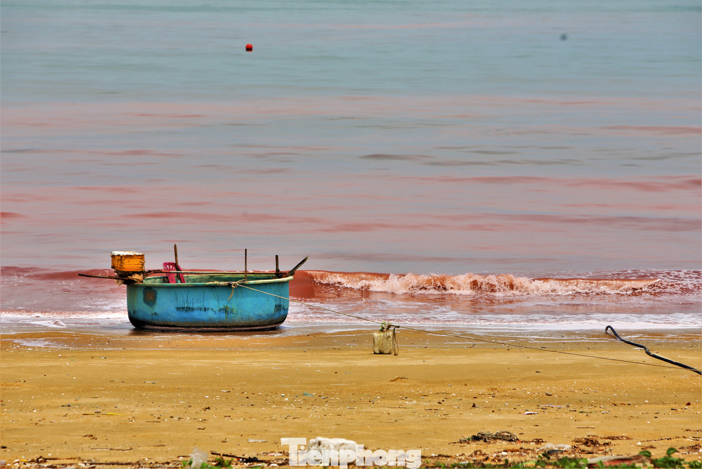 Vệt nước lạ có màu đỏ đục, rộng 50-100m, trải dài khoảng 3km. Tại các vị trí xuất hiện vệt nước có mùi hôi tanh khi sóng biển dạt vào.