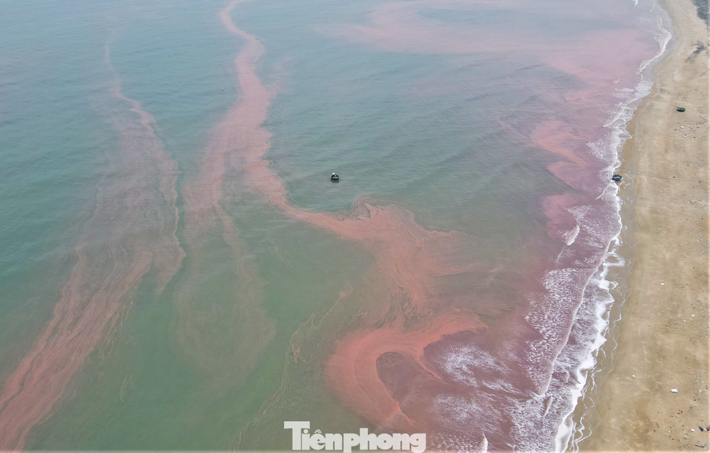 Nhìn từ trên cao, các vệt nước chuyển màu đỏ, lẫn giữa màu xanh của nước biển. Càng vào bờ, nước càng đậm màu.