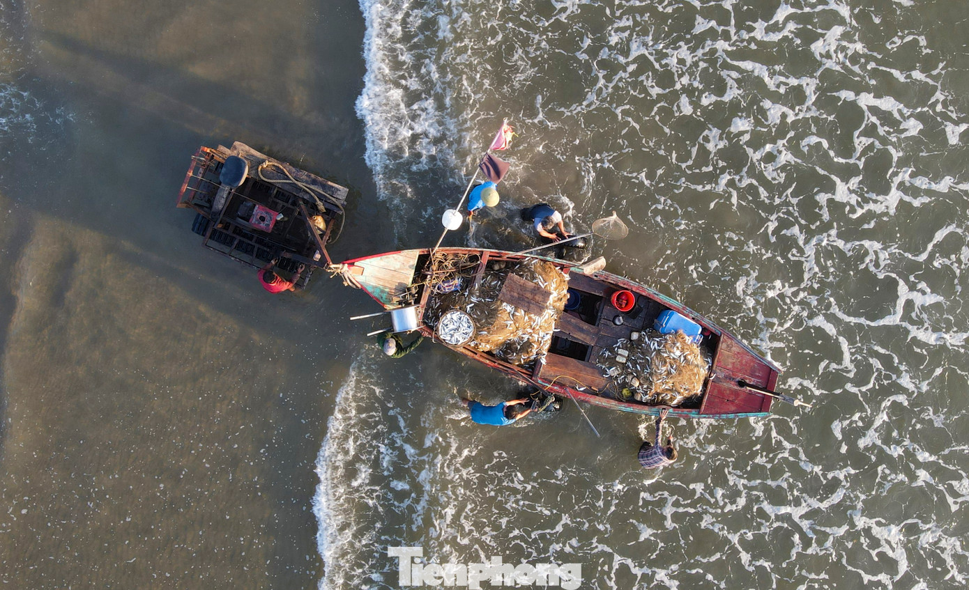 Thuyền chở đầy ắp cá cập bờ, mang theo những giỏ hải sản tươi ngon.