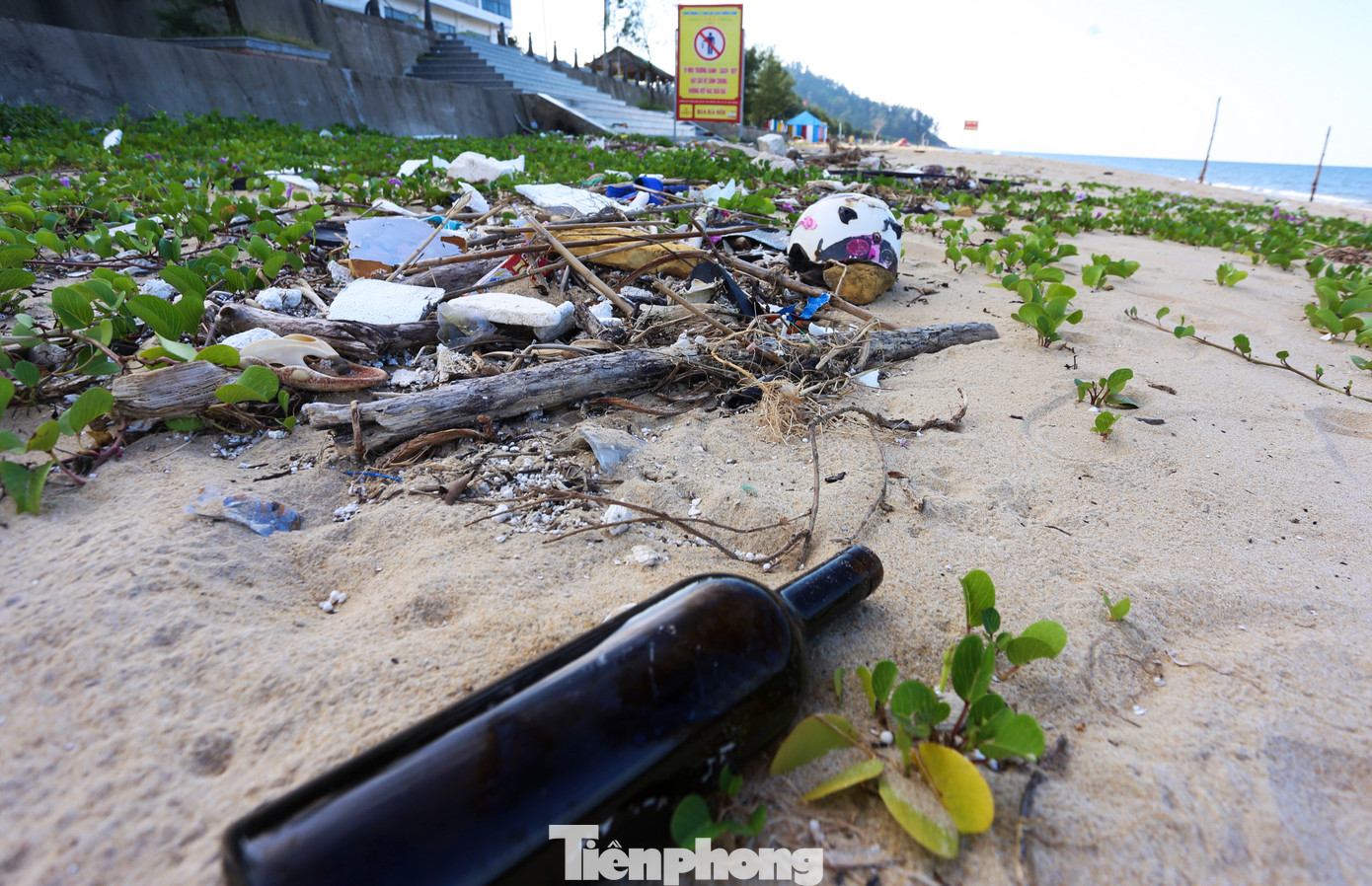 Không chỉ gây ô nhiễm môi trường, mất mỹ quan, nhiều khúc cây lớn bị sóng đánh dạt vào bờ nằm ngổn ngang còn tiềm ẩn nguy hiểm với người dân khi xuống biển.