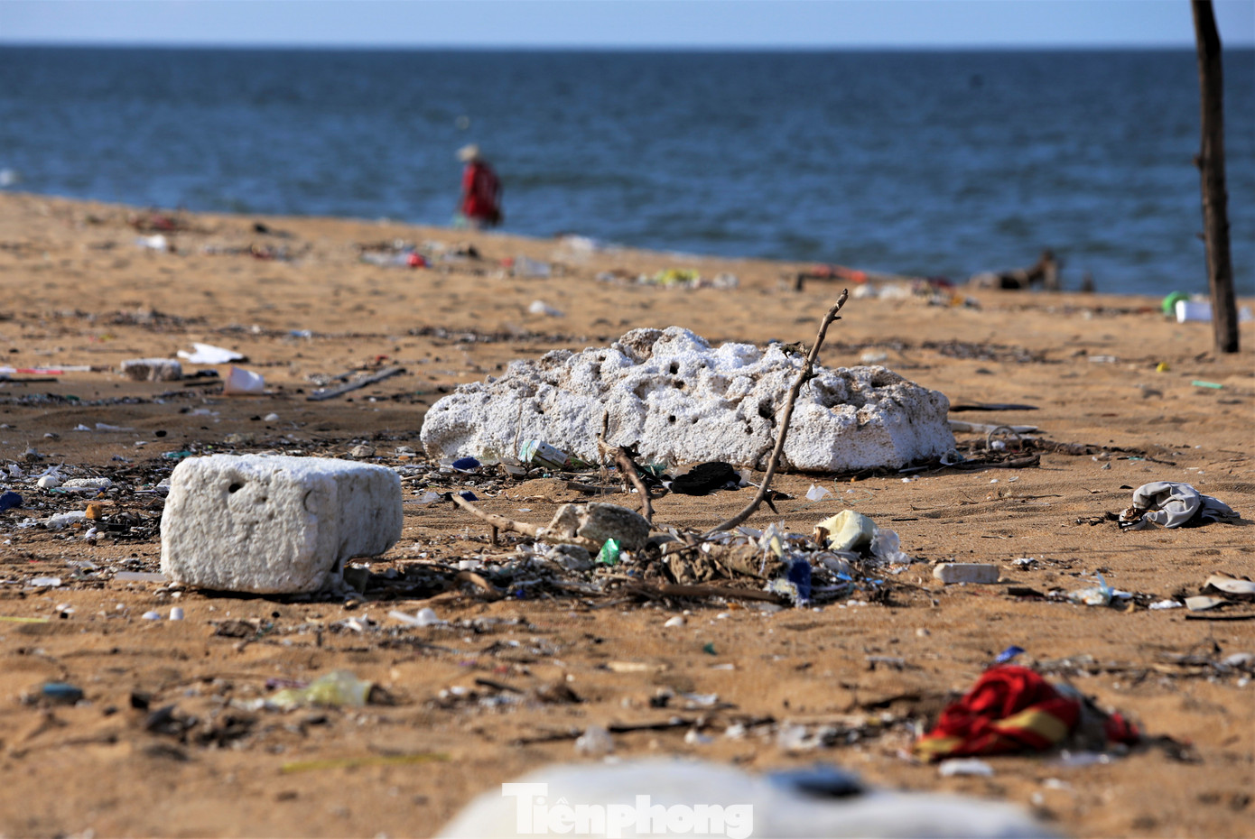 Không chỉ gây ô nhiễm môi trường, mất mỹ quan, nhiều khúc cây lớn bị sóng đánh dạt vào bờ nằm ngổn ngang còn tiềm ẩn nguy hiểm với người dân khi xuống biển.