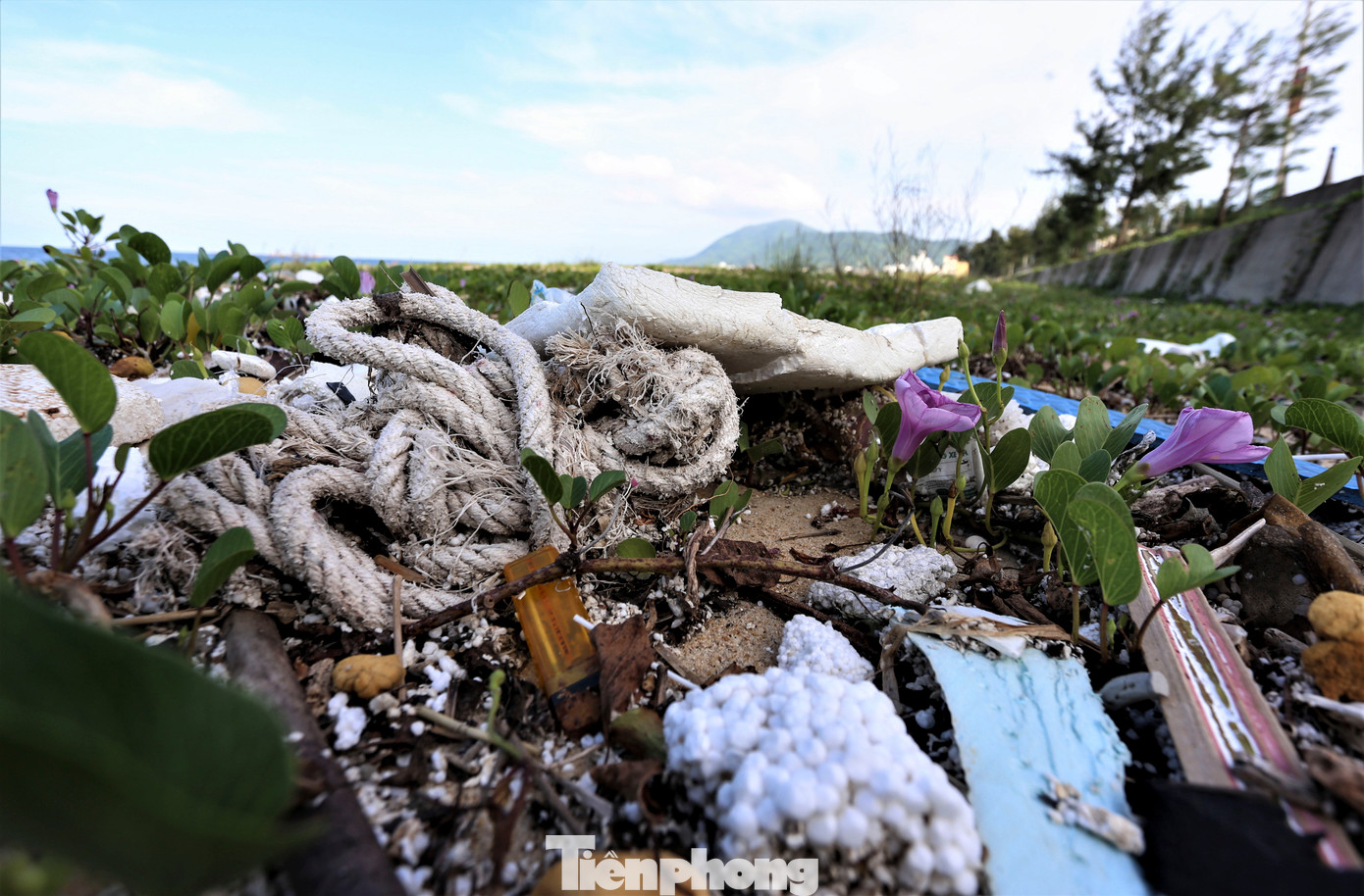 Không chỉ gây ô nhiễm môi trường, mất mỹ quan, nhiều khúc cây lớn bị sóng đánh dạt vào bờ nằm ngổn ngang còn tiềm ẩn nguy hiểm với người dân khi xuống biển.