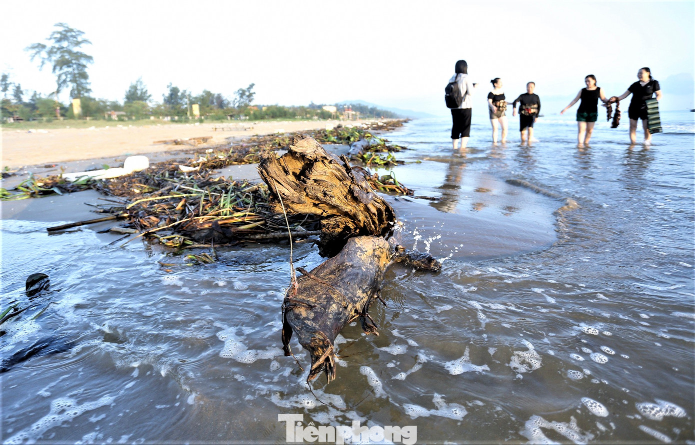 "Bãi biển hoang sơ, đẹp nên tôi và gia đình thường xuyên xuống tắm biển. Nếu tình trạng rác thải ở đây không được dọn dẹp kịp thời sẽ ảnh hưởng môi trường, mỹ quan", ông Ngọc Thắng (trú TP Hà Tĩnh) cho hay.