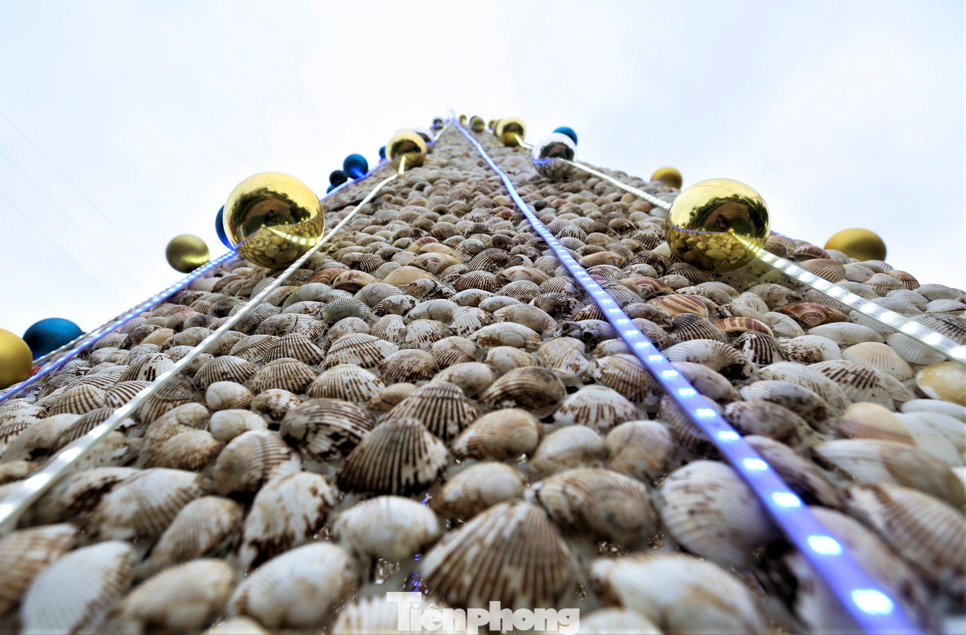 “Hàng chục người đã nhặt 100.000 vỏ sò dọc bãi biển trong 2 tháng lúc dọn dẹp bãi biển”, anh Truyền nói.