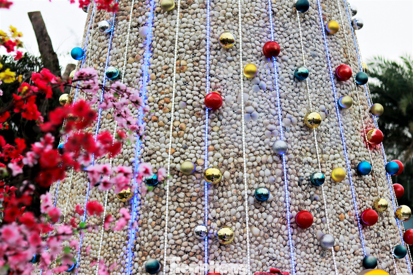 Những quả châu và hệ thống bóng đèn làm nổi bật thêm cho cây thông.