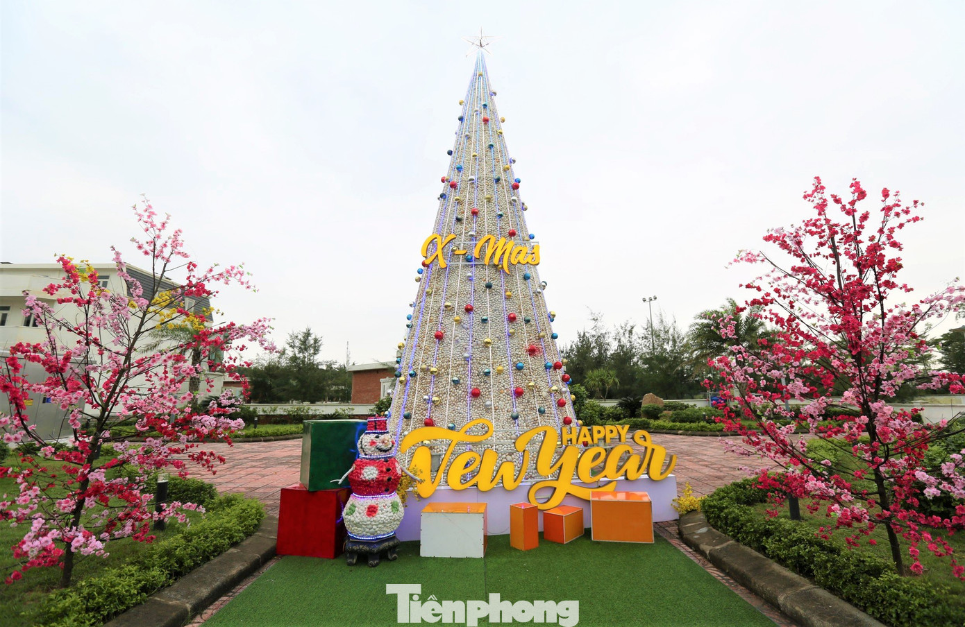 Điều đặc biệt của cây thông Noel là được tạo thành từ 100.000 vỏ sò biển ghép với nhau.