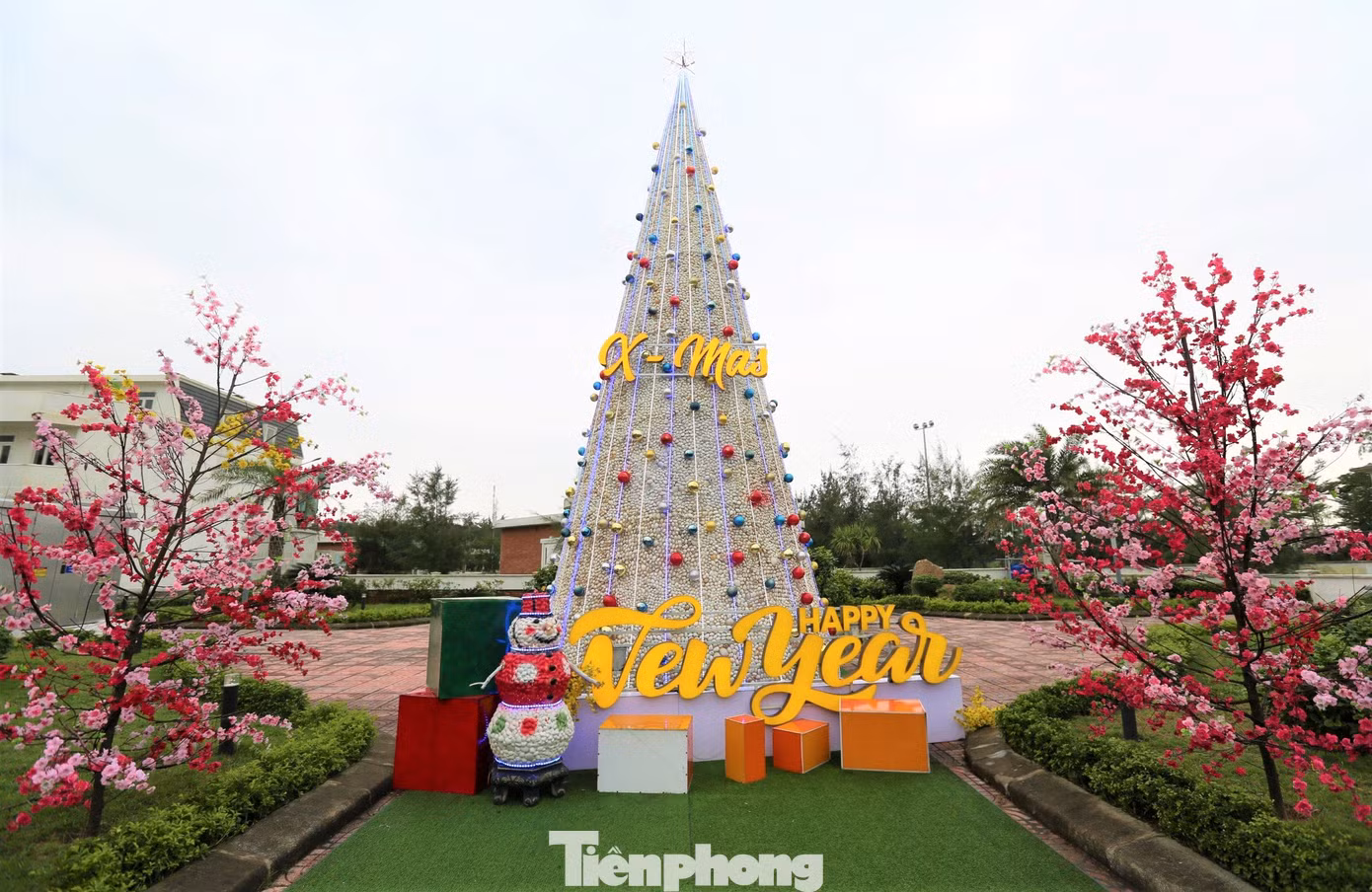 Điều đặc biệt của cây thông Noel là được tạo thành từ 100.000 vỏ sò biển ghép với nhau.
