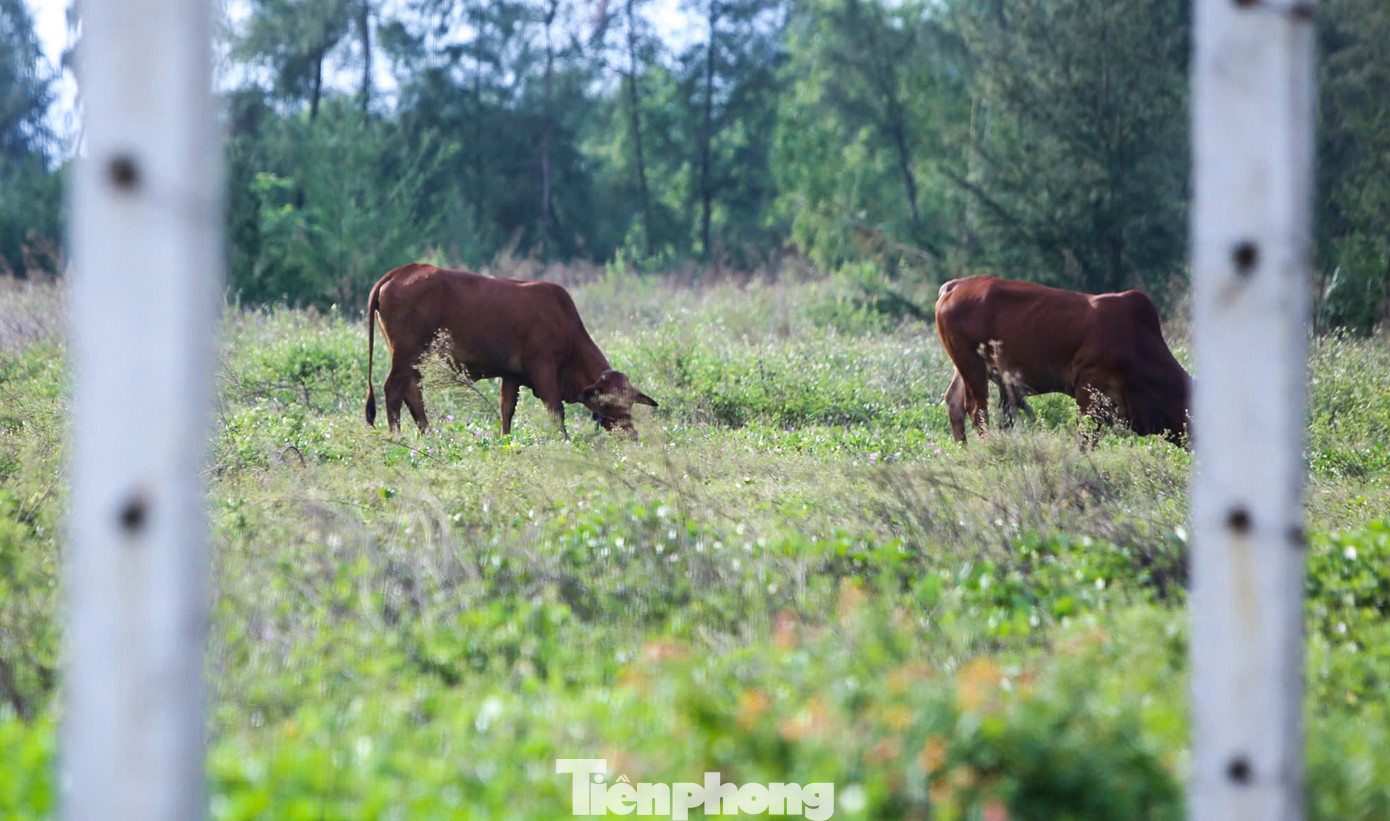 Tuy nhiên, nơi đây còn nhiều dự án đầu tư song chậm triển khai hoặc thi công dang dở gây khó khăn cho việc phát triển kinh tế - xã hội địa phương.