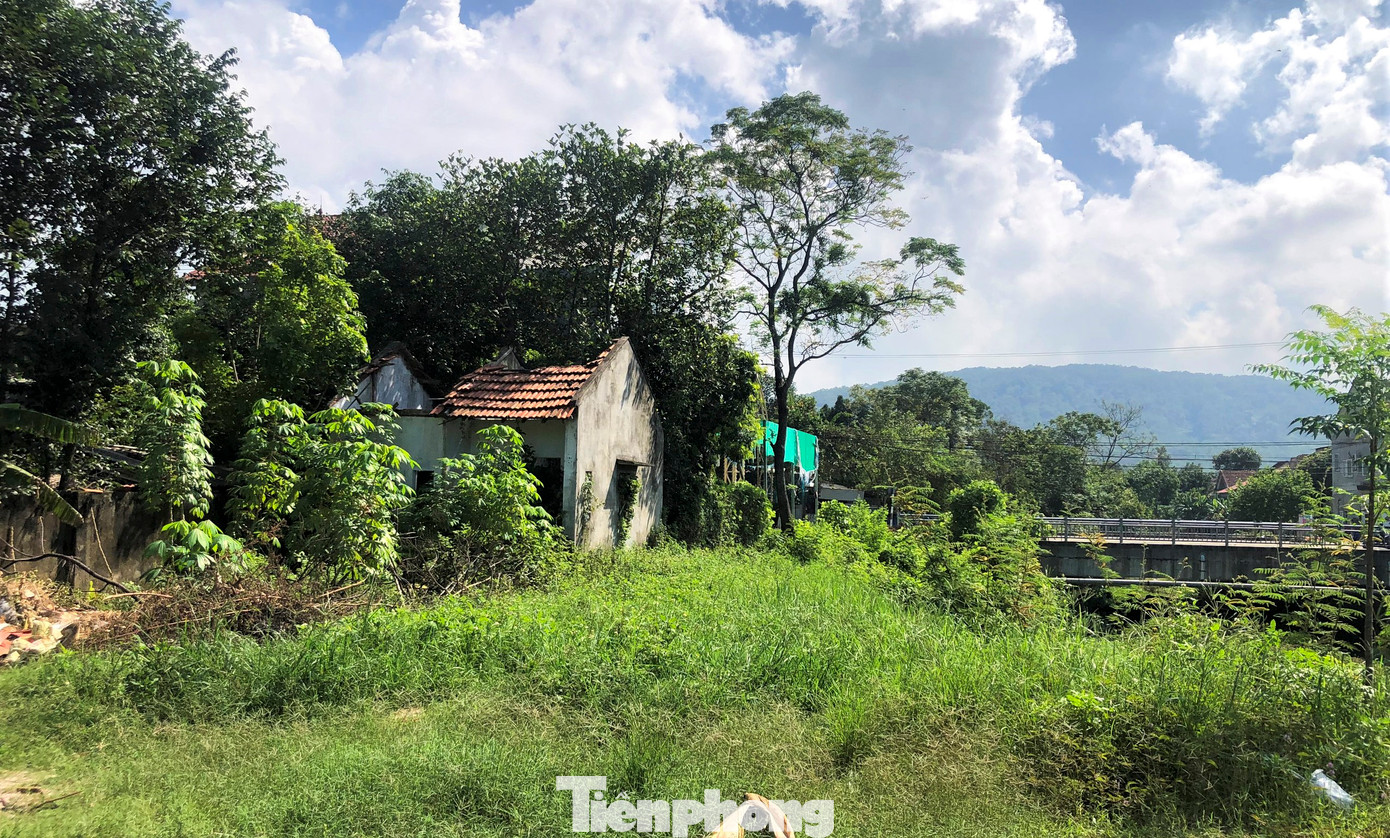 Theo ghi nhận, đến nay các đoạn tuyến trên dự án đã tạm dừng thi công. Nhiều vị trí lau lách, cỏ dại mọc um tùm, che phủ các hạng mục đang thi công dang dở, ảnh hưởng lớn đến đời sống dân sinh của các hộ dân hai bên bờ kè.