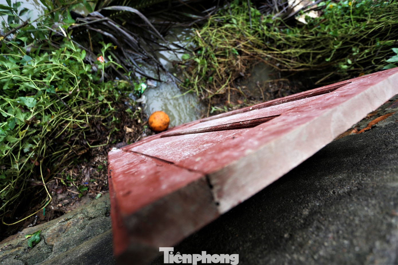 Lãnh đạo Trường Tiểu học Trung Lộc cho biết đã từng có phương án xử lý cổng thoát nước phía sau khuôn viên để hạn chế nước tràn vào song bất thành. Trong hình là tấm cửa bằng gỗ bịt sơ sài ở vị trí cổng thoát nước.