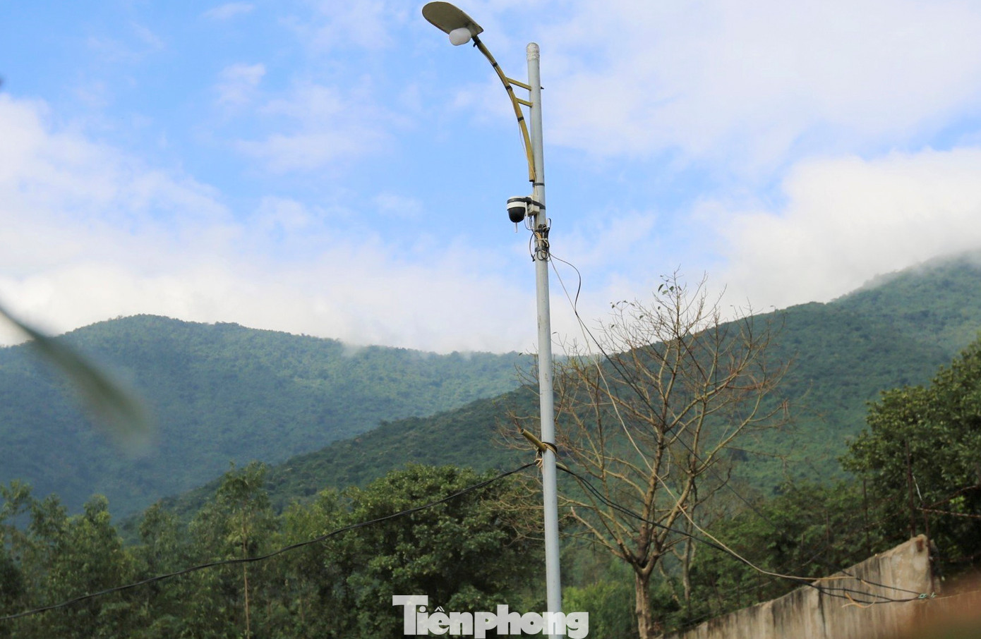 Từng bị kẻ gian phá hoại, lấy trộm cây nên một số hộ dân đã lắp đặt hệ thống camera an ninh để giám sát.