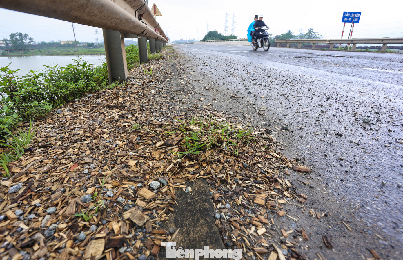 Tuyến đường này hàng ngày chịu hàng trăm lượt xe chở vật liệu, xe chở băm dăm, xe chở than... về khu vực cảng.