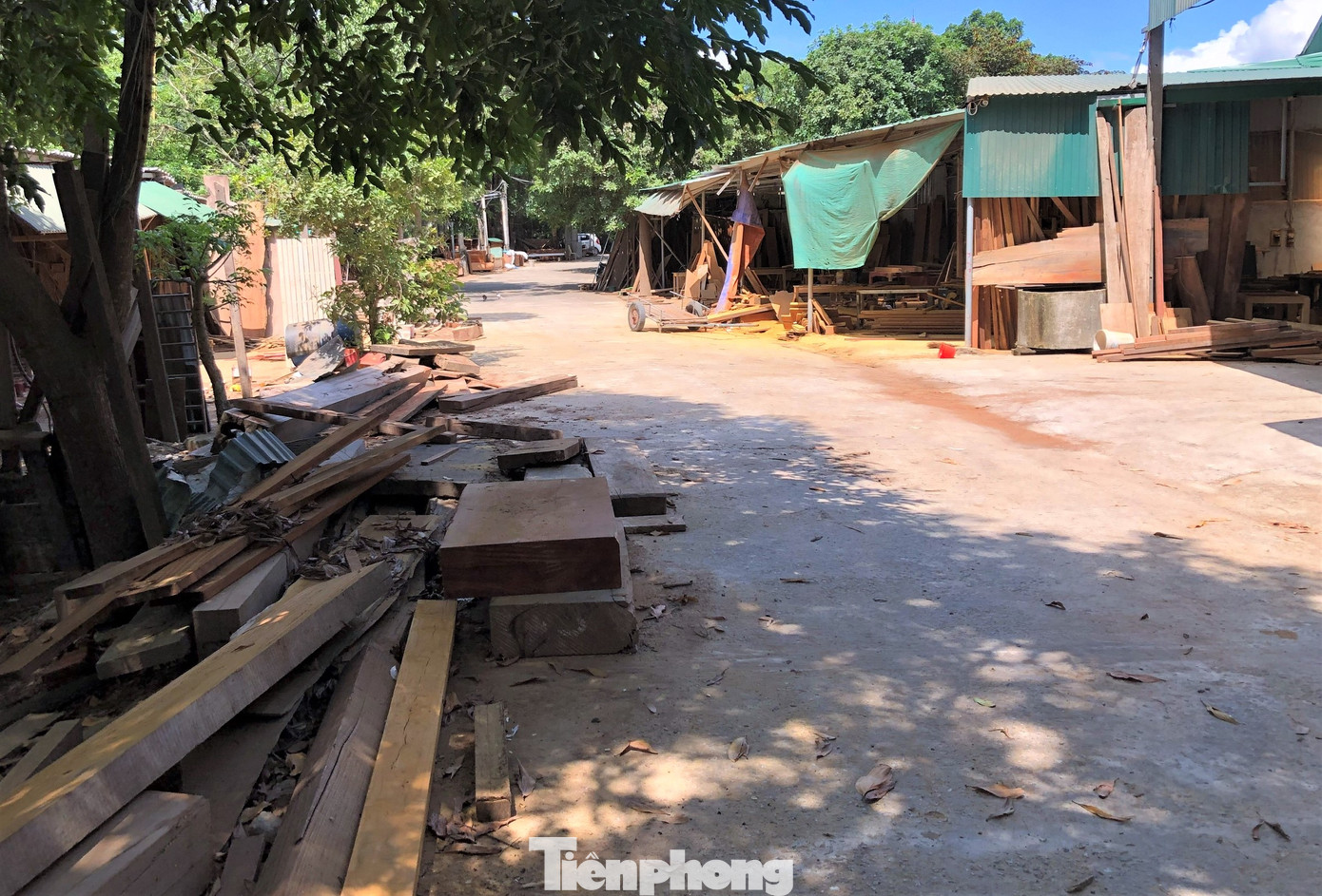 Lãnh đạo UBND xã Thiên Lộc cho biết, về xưởng gỗ tập kết trái phép, ngành chức năng đã họp bàn và tìm phương án xử lý. Còn rác thải ven đê, xã đã tuyên truyền và tiến hành thu dọn song một số người dân vẫn lén lút đổ trộm. Thời gian tới, địa phương sẽ cắm biển cấm đổ rác, tuyên truyền và tuần tra, xử lý người vi phạm.