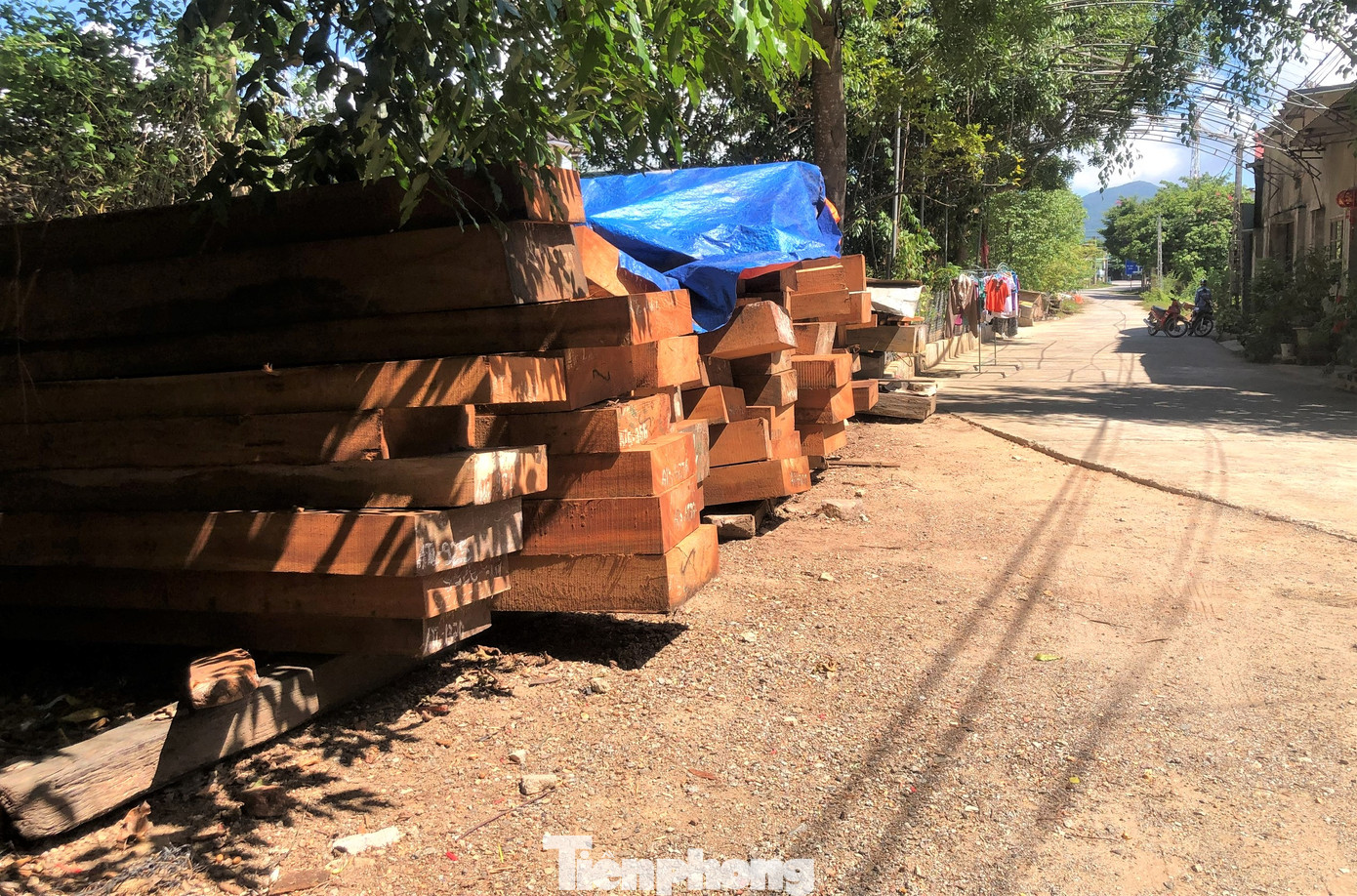 Tại khu vực hành lang đê gần chân cầu Hạ Vàng (xã Thiên Lộc) nhiều năm qua còn bị một doanh nghiệp tư nhân lấn chiếm hàng trăm mét vuông đất thuộc hành lang đê để kinh doanh, tập kết gỗ.