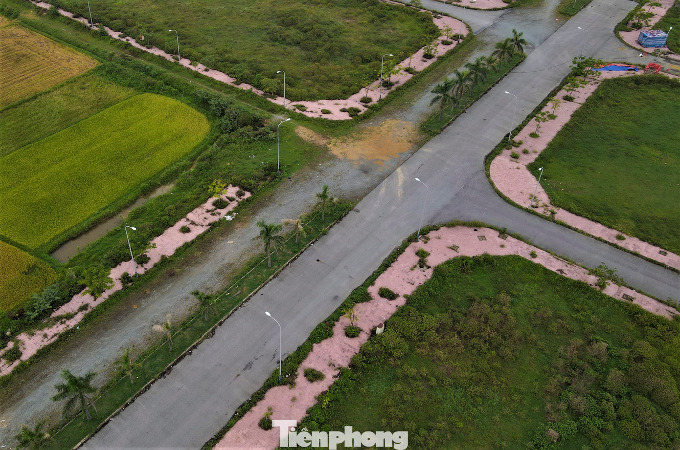 Chưa có dân cư sinh sống khiến khu vực này cỏ dại mọc um tùm, nhếch nhác.