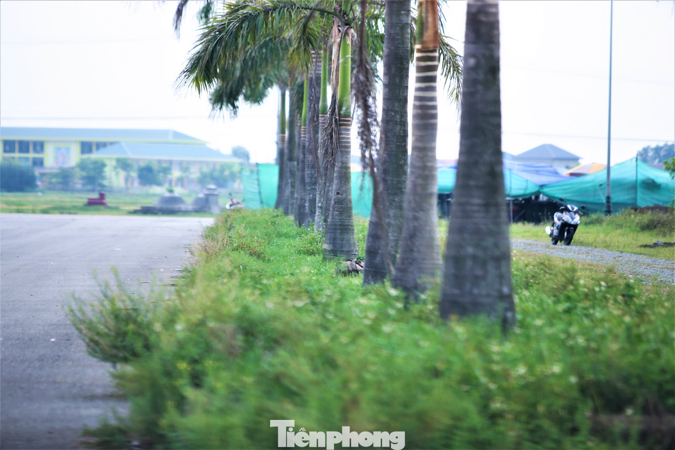 Do không có người ở, công tác bảo vệ, chăm sóc cây xanh chưa tốt khiến dự án có dấu hiệu xuống cấp, hoang hóa.