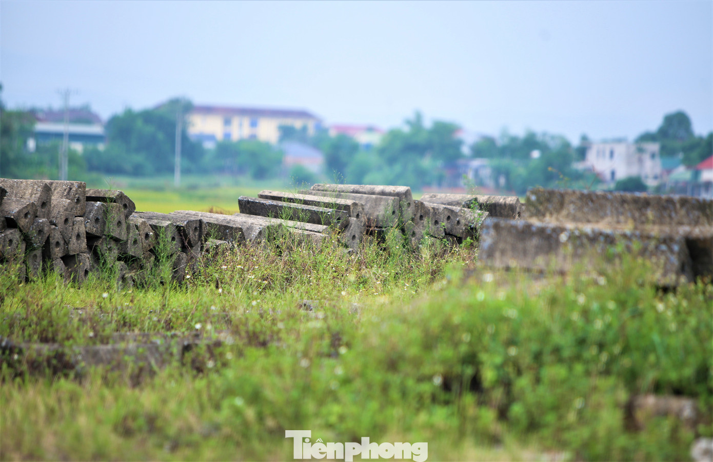 Lãnh đạo Sở Tài nguyên và Môi trường cho biết sau 8 năm hoàn thành, dự án từng được Trung tâm phát triển quỹ đất đưa ra đấu giá 6 lần, hạ giá 2 lần song vẫn chưa bán được lô đất nào.