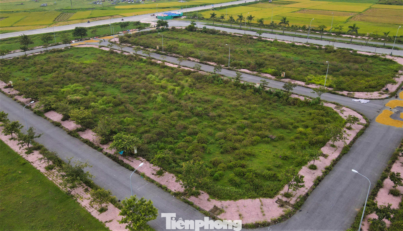 Chủ đầu tư dự án là Trung tâm phát triển quỹ đất tỉnh Hà Tĩnh với tổng mức đầu tư hơn 190 tỷ đồng, từ nguồn Qũy đầu tư phát triển tỉnh và huy động từ các nguồn vốn hợp pháp khác.