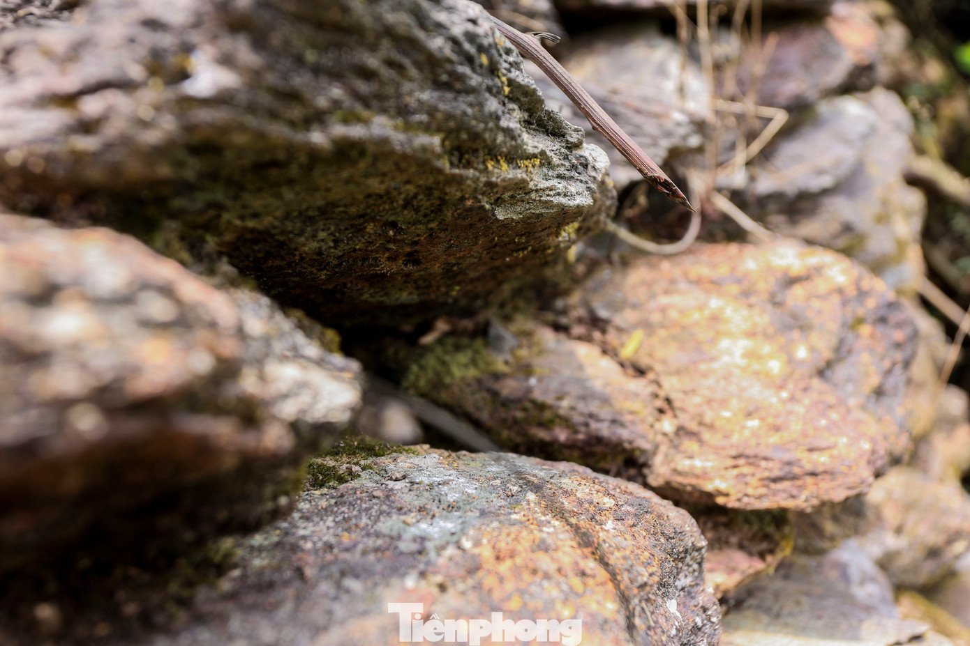 Trải qua gần 400 năm, thành lũy dài hàng chục km không còn nguyên vẹn dáng xưa, hiện ẩn mình dưới các tầng cây cối trên núi Hoành Sơn. Trên các phiến đá, rêu phong phủ kín.