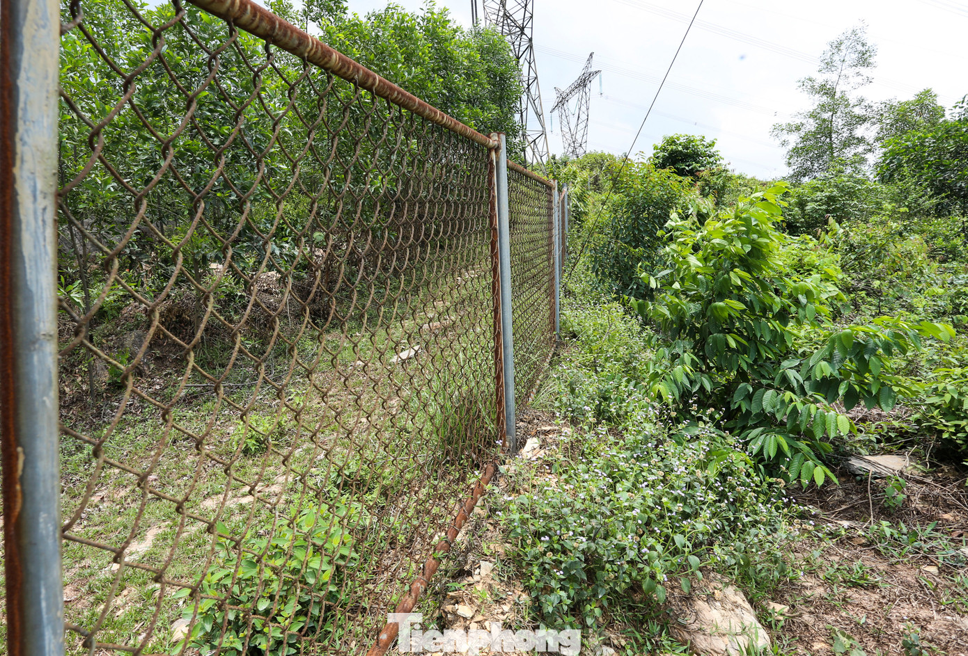 Đoạn lũy đá ở xã Kỳ Lạc được phát quang, làm hàng rào thép để phục vụ công tác bảo tồn, phát huy các giá trị văn hóa, tham quan du lịch cũng như nghiên cứu chương trình về thành lũy cổ ở Việt Nam.