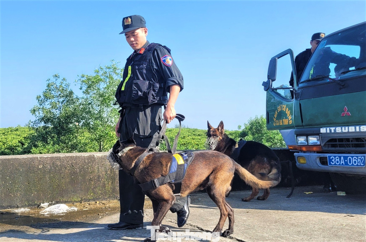 Nhiều chú chó nghiệp vụ được đưa đến khu vực đầm lầy để hỗ trợ công tác truy bắt 2 đối tượng trốn trại.