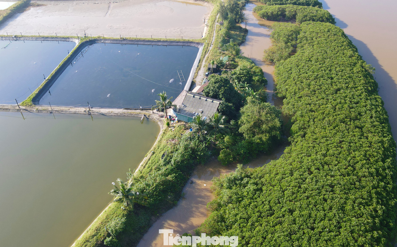 Khu vực này có nhiều đầm nuôi trồng thủy sản và cách khu dân cư một bờ đê.