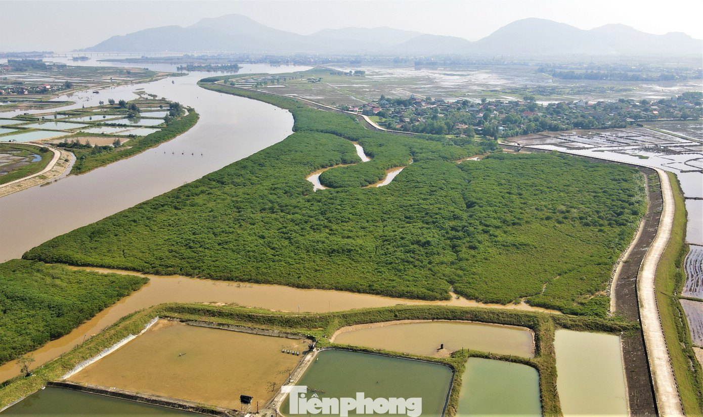 Khu vực đầm lầy ở xã Cẩm Hà, huyện Cẩm Xuyên (Hà Tĩnh) rộng gần 8ha, trong đó có khoảng 3ha là rừng bần ngập mặn. Đây là khu vực nghi 2 phạm nhân bỏ trốn khỏi Trại giam Xuân Hà cơ sở 2 đang lẩn trốn. Khu vực này cách Trại giam Xuân Hà (xã Cẩm Sơn) khoảng 6km.