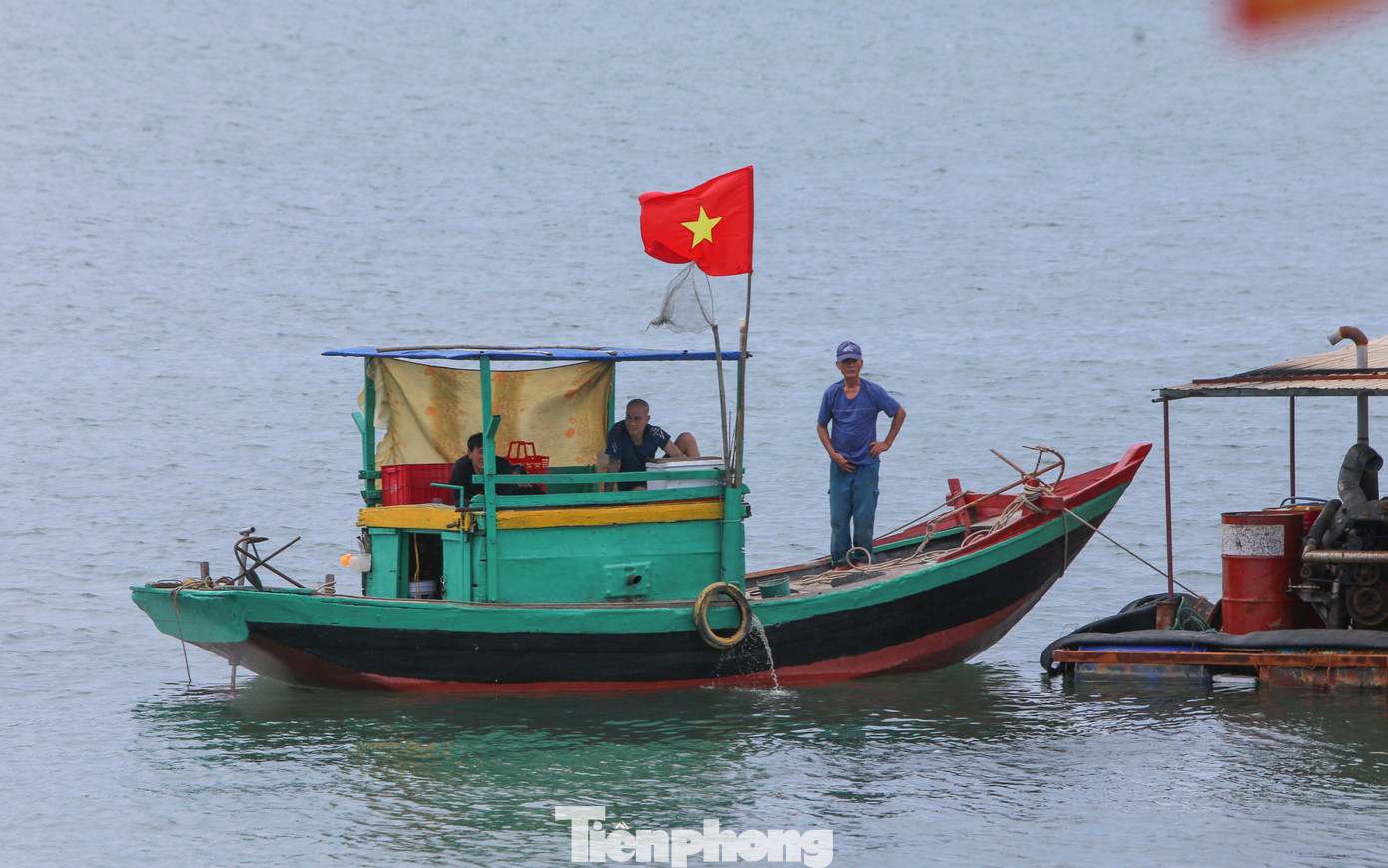 Dự án khi hoàn thành hứa hẹn giúp ngư dân địa phương vững vàng bám biển, thuận lợi trong việc ra khơi, đưa cá vào bờ bán cho thương lái, nâng cao hiệu quả phát triển kinh tế. Dự án khi hoàn thành hứa hẹn giúp ngư dân địa phương vững vàng bám biển, thuận lợi trong việc ra khơi, đưa cá vào bờ bán cho thương lái, nâng cao hiệu quả phát triển kinh tế.