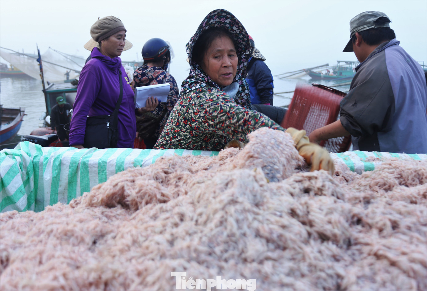 “Mỗi chuyến đánh ruốc chỉ kéo dài khoảng 5-7 tiếng đồng hồ là có thể quay vào bờ để bán cho thương lái tránh để lâu ruốc không còn tươi. Ruốc vừa lên đã có thương lái mua với giá 8.000 -15.000 đồng/kg, tùy vào chất lượng và độ tươi của ruốc”, ngư dân Nguyễn Thắng (54 tuổi) cho hay.