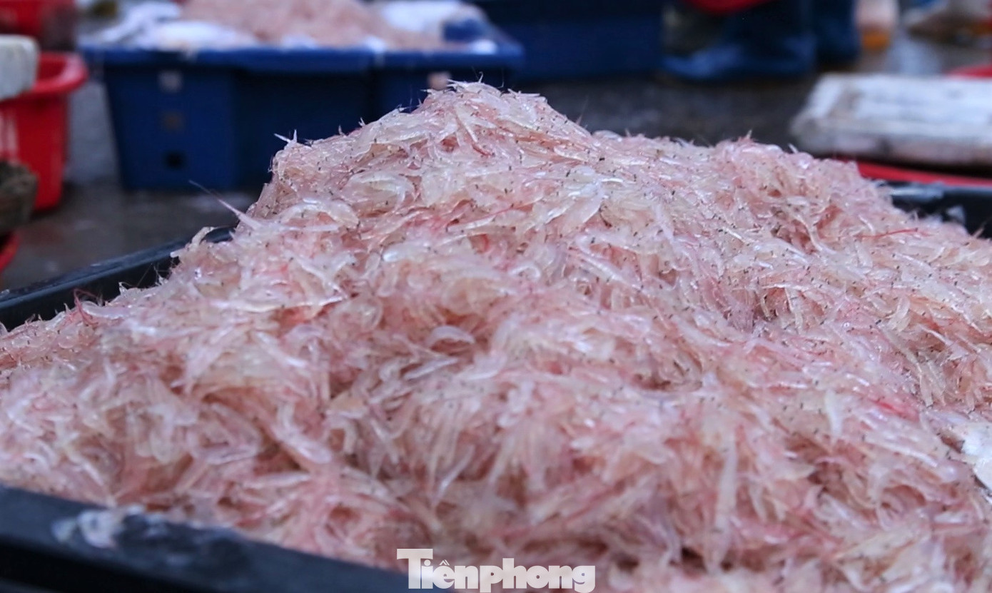 Ruốc (hay còn gọi là moi, tép biển) là tên gọi của một loại động vật giáp xác mười chân. Sống ở vùng nước ven bờ biển. Hình dạng như con tôm nhỏ, chỉ khoảng 4-10mm được coi là một đặc sản của miền biển, có giá trị dinh dưỡng rất cao.