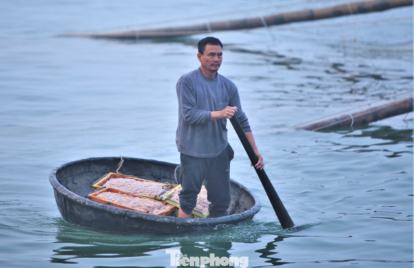 Ngư dân cho hay ruốc biển thường xuất hiện dày đặc tại khu vực ven biển, cách bờ biển gần 1km. Ngư dân không cần đi xa bờ, chi phí bỏ ra ít nhưng lại thu được lợi ích kinh tế cao.
