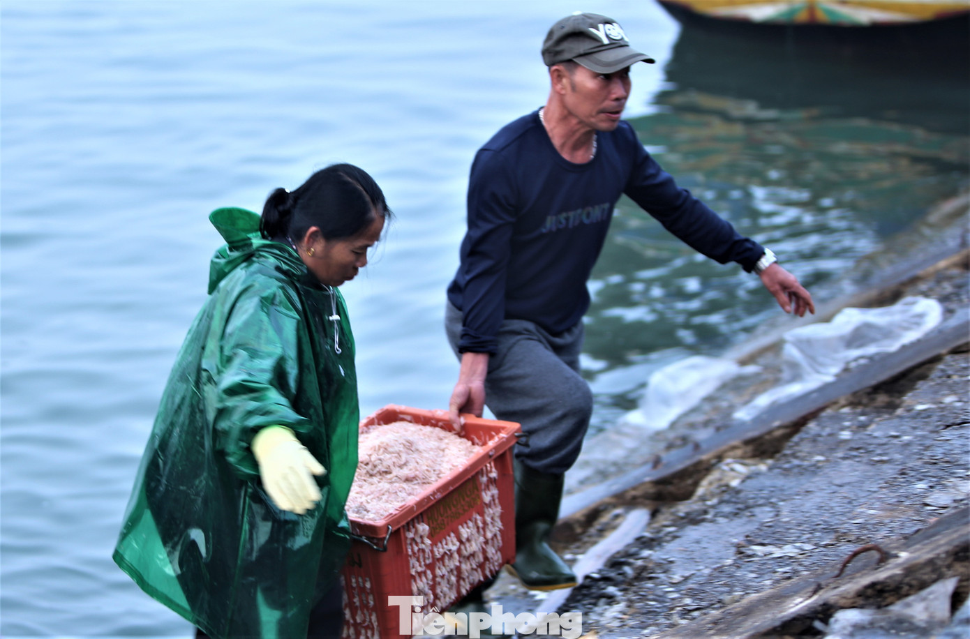 Những ngày đầu năm, thời tiết thuận lợi nên mỗi chuyến tàu ra khơi đều thu về lượng lớn hải sản. Trong đó với các tàu công suất nhỏ đánh bắt gần bờ cũng thu cả tấn ruốc biển. Họ hối hả đưa ruốc từ thuyền lên bờ để bán cho thương lái.